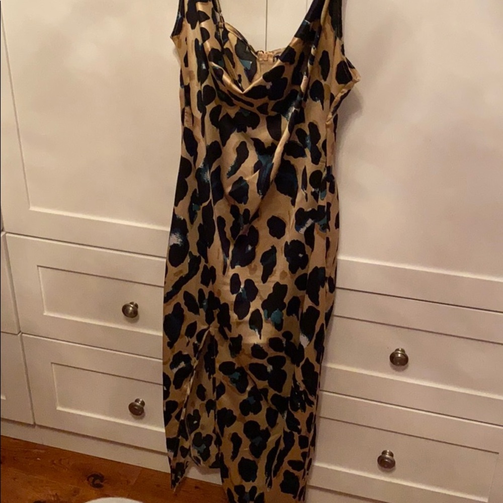 PLT DRESS WORN ONCE - Picture 3 of 3